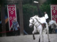 /album/galerie-de-photos-page-daccueil/poirier-jpg/